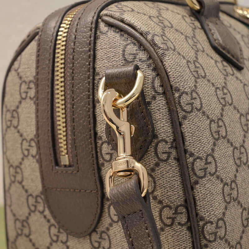 Gvc*1 Ophidia GG Small