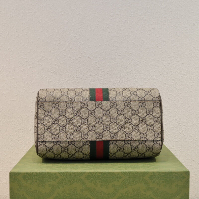 Gvc*1 Ophidia GG Small