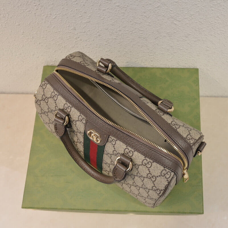 Gvc*1 Ophidia GG Small