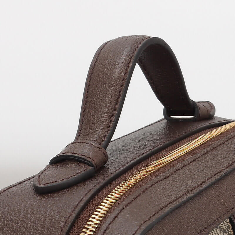 Gvc*1 Ophidia GG Small Shoulder Bag