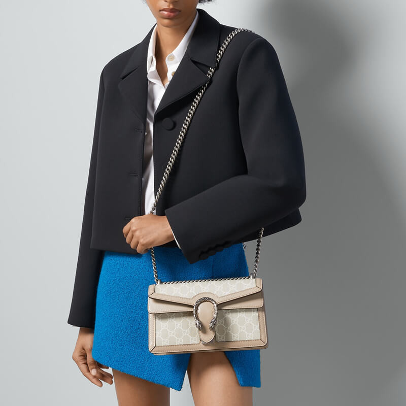 Gvc*1 dionysus beige and white canvas 25x14cm