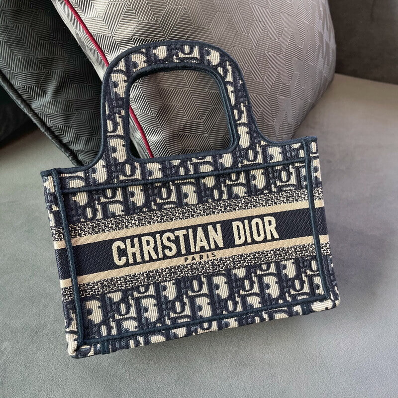 D10r Book Tote Mini Canvas Blue