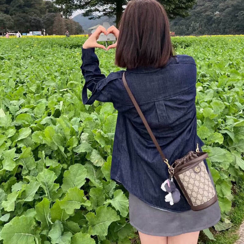 Gvc*1 Mini Ophidia Bucket Bag 760199